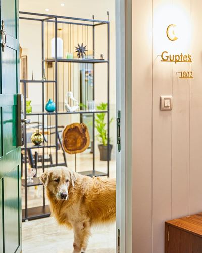 Golden retriever standing in doorway of Mumbai apartment beside wall nameplate reading Guptes 1802