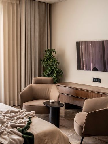 Bedroom corner with two tan leather armchairs, wooden sideboard, tv, and plant