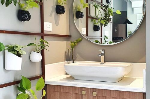 Bathroom vanity with white vessel sink, round mirror, and wall-mounted potted plants on wooden grid