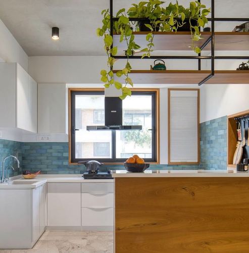 White kitchen with blue subway tile backsplash and wood-clad island under hanging plants