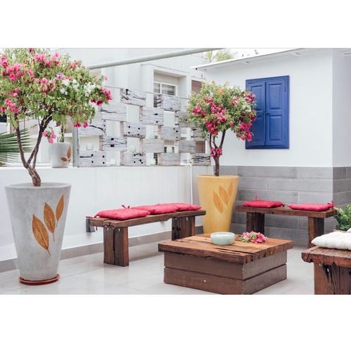 Terrace lounge with reclaimed wood benches, red cushions, and potted flowering trees against a blue shuttered wall panel