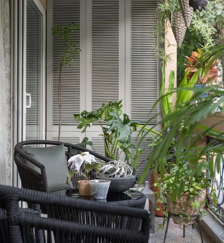 Balcony with black wicker chairs and dense potted plants against louvered shutters