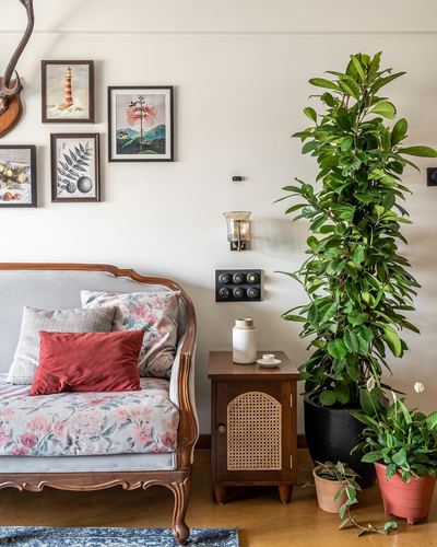 Carved wooden colonial sofa beside cane cabinet, gallery wall, and tall potted rubber plant