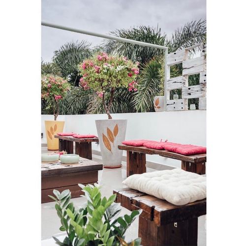 White terrace lounge with reclaimed wood benches, pink cushions, potted bougainvillea and palms
