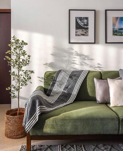 Green velvet sofa with striped throw against white wall, framed prints and plant shadow