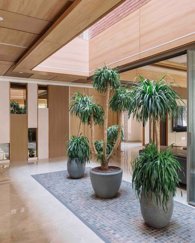 Foyer with wood-clad ceiling, marble floor, and large potted palms on a mosaic tile runner.