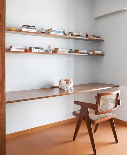 Cat sits on a floating wood desk beneath two shelves of books, cane chair below, terracotta floor