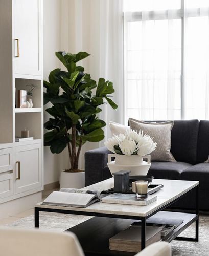 Neutral living room with marble coffee table, dark sofa, fiddle leaf fig, and white cabinetry.