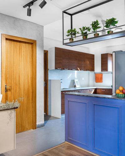 Kitchen with blue paneled island, walnut cabinetry, and hanging plant rack above counter