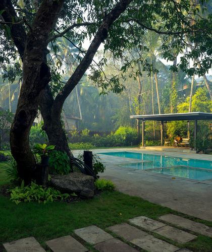 Pool framed by large tree and misty tropical garden with pavilion beyond
