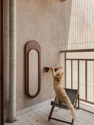 Ginger cat reaching up a wall shelf beside an oval wooden mirror on a textured balcony wall