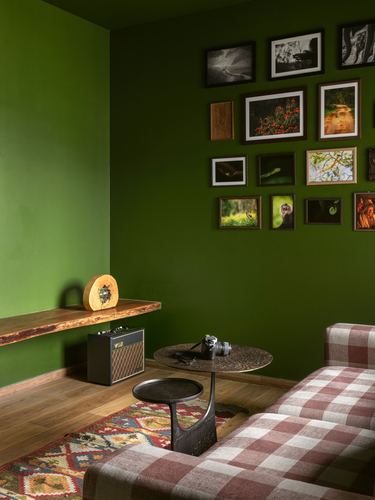 Green-walled living room corner with gallery wall of wildlife photos, live-edge shelf, and checkered sofa