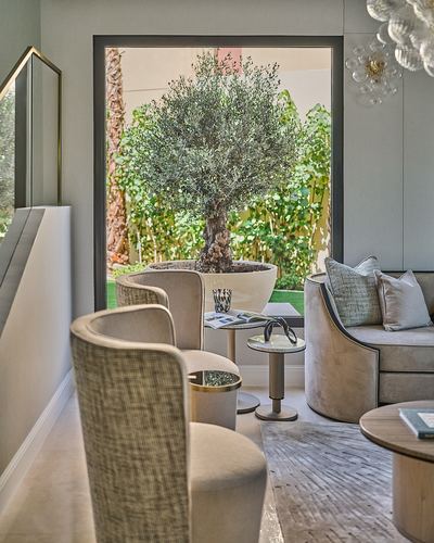 Neutral lounge with curved chairs facing a framed window view of an olive tree