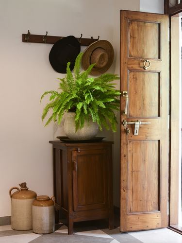 Wooden entry door beside cabinet with fern planter, hats hung on wall hooks