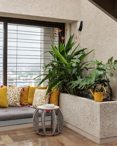 Balcony seating nook with grey sofa, mustard cushions, and a raised planter with lush plants beside a city-view window