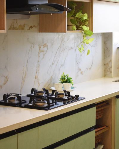 Kitchen counter with black gas hob, marble-look backsplash, sage green cabinets and trailing plant
