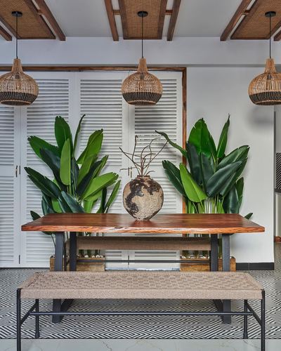 Live-edge wood dining table under three rattan pendant lights, flanked by tall tropical plants and louvered shutters