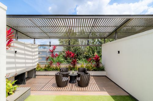 Rooftop terrace with slatted pergola, rattan chairs, and red-leafed plants against a city green backdrop