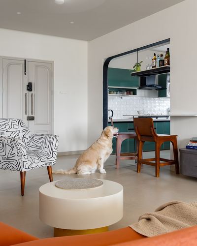 Golden retriever sits between a graphic armchair and open kitchen framed by a black arch