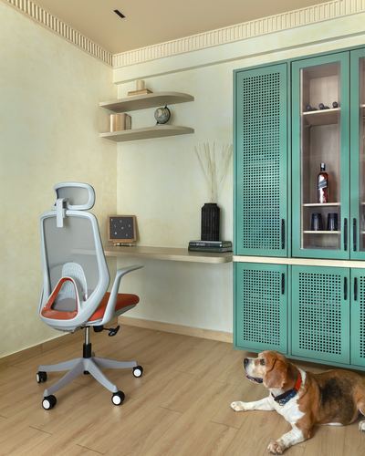 Home study nook with mesh office chair, floating shelves, and teal perforated cabinet, beagle resting on floor