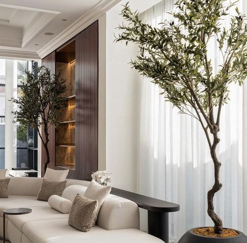 Living room corner with cream sofa, fluted wood cabinet, and large potted olive trees by sheer curtains