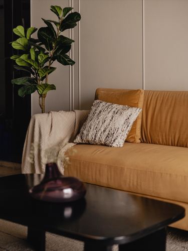 Mustard velvet sofa with textured cushion beside a plant and dark wooden coffee table