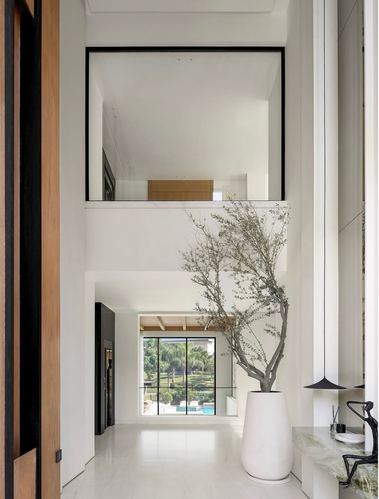 Double-height white entry foyer with olive tree, black-framed opening, and view to pool through glass doors