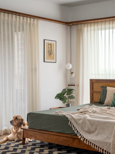 Bedroom with cane headboard, green bedding, sheer curtains and a golden retriever lying beside the bed