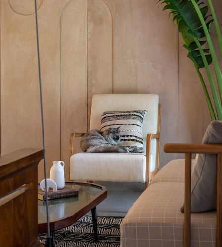 Cat curled on a cream armchair against an arched plaster wall beside a plant