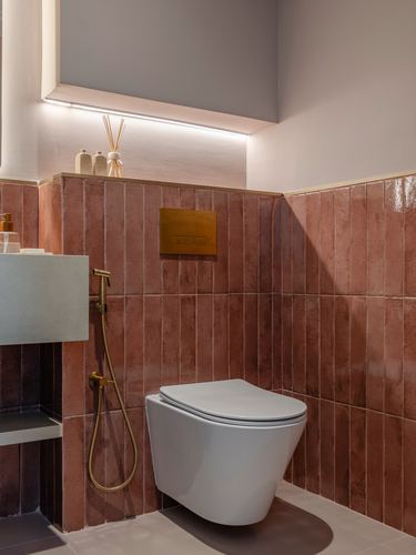 Bathroom with terracotta zellige tile wall, wall-hung toilet, brass fittings, and hidden cove lighting above