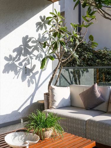 Sunlit balcony corner with plumeria tree shadow on white wall and outdoor sofa