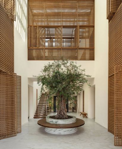 Double-height courtyard with olive tree in marble planter, surrounded by timber lattice screens