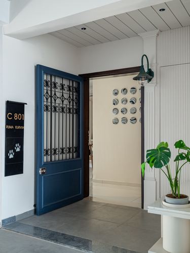 Entry door in navy blue with wrought iron grille opens into a white foyer with round wall art and a plant.