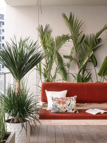 Terracotta cushioned swing bench on a balcony surrounded by potted palm plants against a white wall.