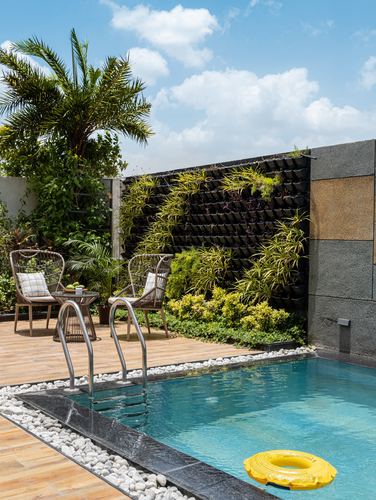 Outdoor pool deck with wooden flooring, cane chairs, and a lush vertical garden wall under blue sky