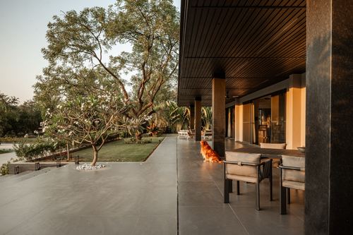 Covered stone terrace with dining table and dog beside garden with flowering tree at golden hour