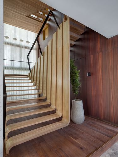 Curved wooden slatted staircase beside dark wood-panelled wall and potted plant