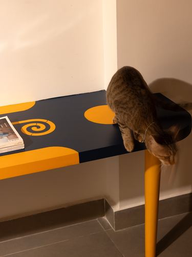 Cat perched on a navy and yellow painted console table with a single yellow leg