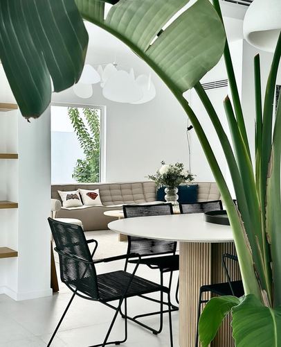 Dining table with black woven chairs framed by large plant leaves, beige sofa visible beyond