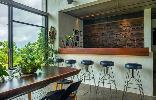 Bar counter with black stools beneath a textured wood wall, dining table by glass wall with greenery outside