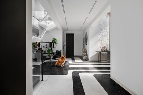 Golden retriever sits on a curving black and white terrazzo floor in a modern foyer with a floating staircase