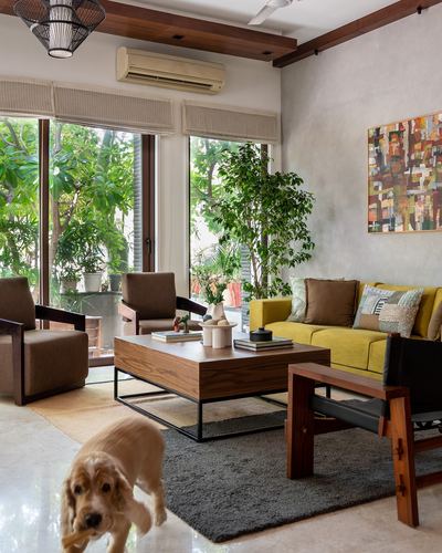 Living room with yellow sofa, wood coffee table, and dog walking near glass doors to garden