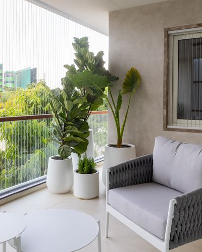 Balcony seating with grey rope armchair beside large potted fiddle leaf fig and mesh screen