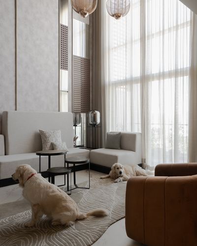 Two golden retrievers rest in a double-height beige living room with sheer curtains and leather sofa