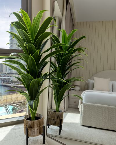 Tall potted plant beside window with Dubai Creek view, reflected in mirror near neutral bedroom